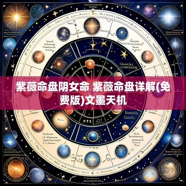 紫薇命盘阴女命 紫薇命盘详解(免费版)文墨天机