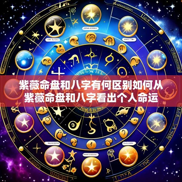 紫薇命盘和八字有何区别如何从紫薇命盘和八字看出个人命运