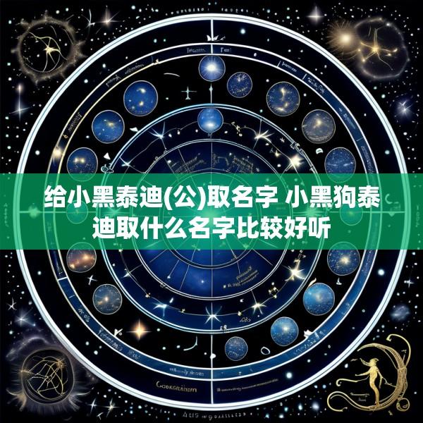 给小黑泰迪(公)取名字 小黑狗泰迪取什么名字比较好听