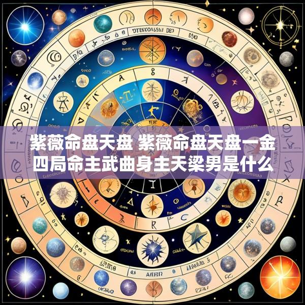紫薇命盘天盘 紫薇命盘天盘一金四局命主武曲身主天梁男是什么意思