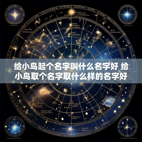给小鸟起个名字叫什么名字好 给小鸟取个名字取什么样的名字好听