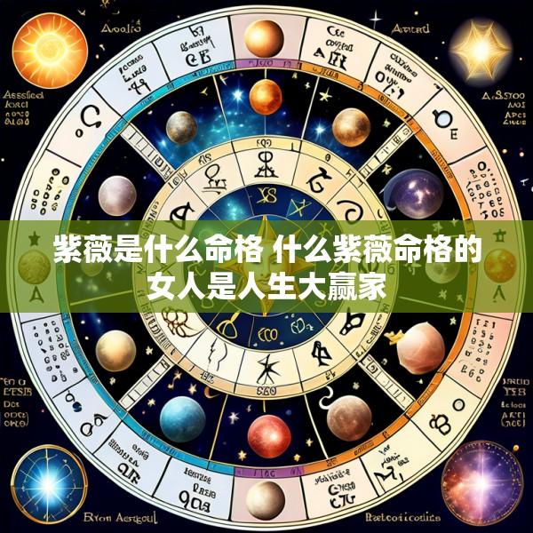 紫薇是什么命格 什么紫薇命格的女人是人生大赢家