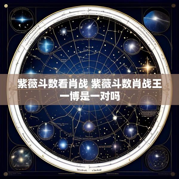 紫薇斗数看肖战 紫薇斗数肖战王一博是一对吗