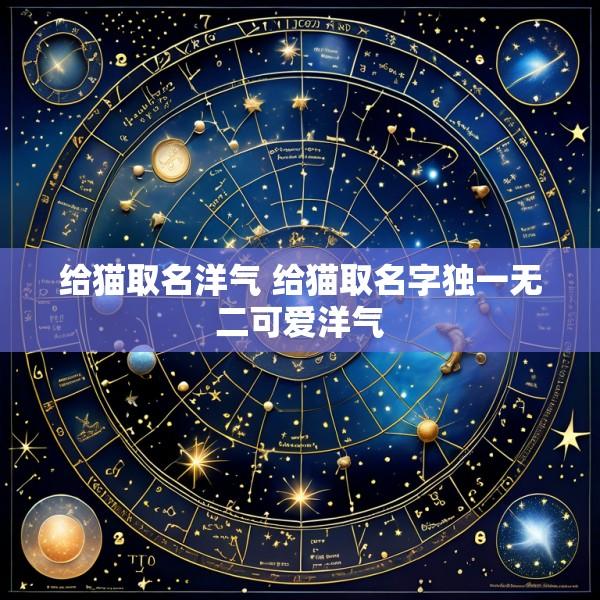 给猫取名洋气 给猫取名字独一无二可爱洋气