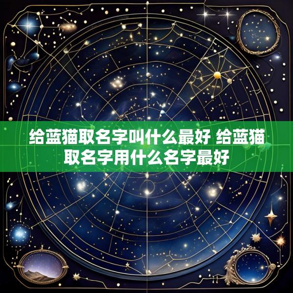 给蓝猫取名字叫什么最好 给蓝猫取名字用什么名字最好