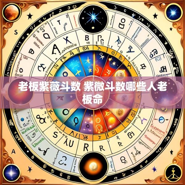 老板紫薇斗数 紫微斗数哪些人老板命