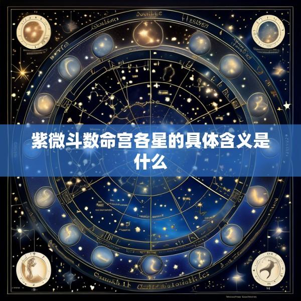 紫微斗数命宫各星的具体含义是什么