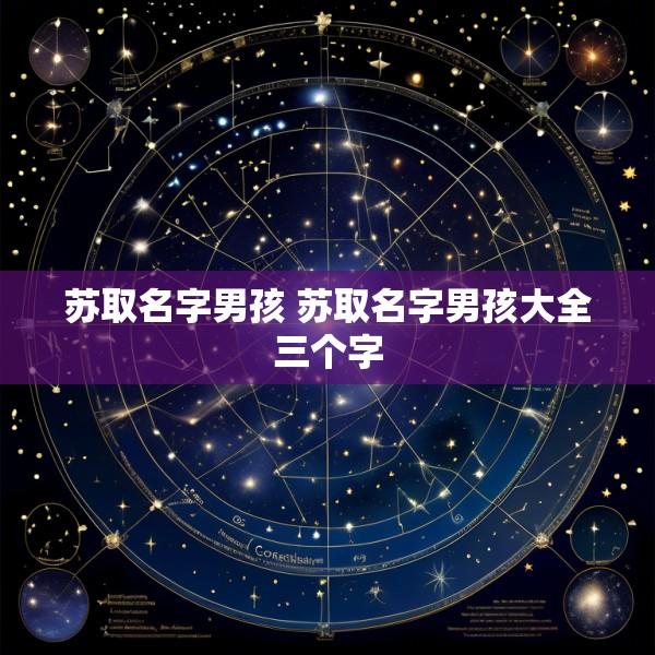 苏取名字男孩 苏取名字男孩大全三个字