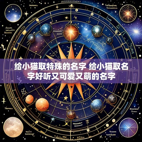给小猫取特殊的名字 给小猫取名字好听又可爱又萌的名字
