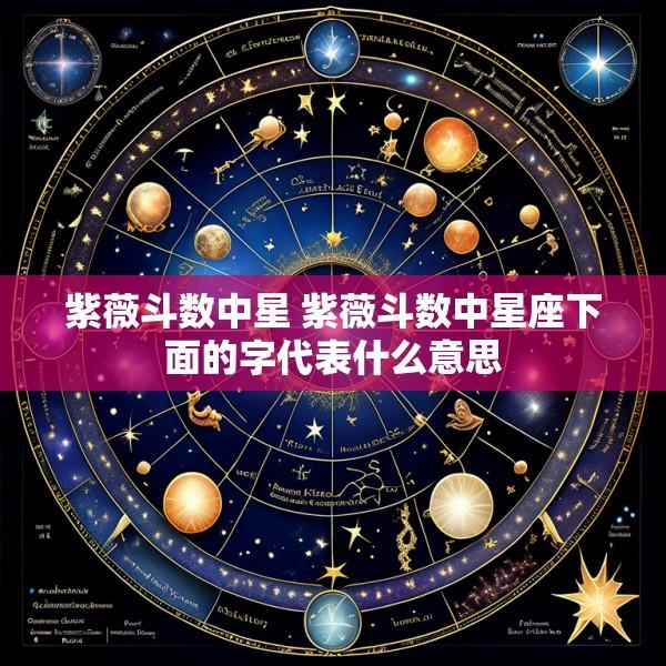 紫薇斗数中星 紫薇斗数中星座下面的字代表什么意思