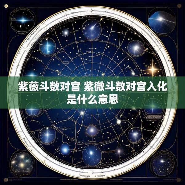 紫薇斗数对宫 紫微斗数对宫入化是什么意思