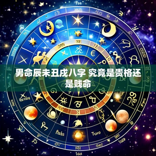 男命辰未丑戌八字 究竟是贵格还是贱命