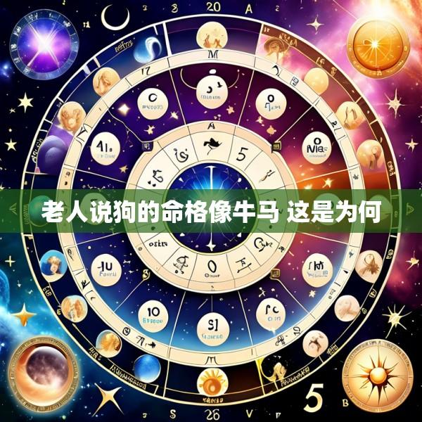 老人说狗的命格像牛马 这是为何