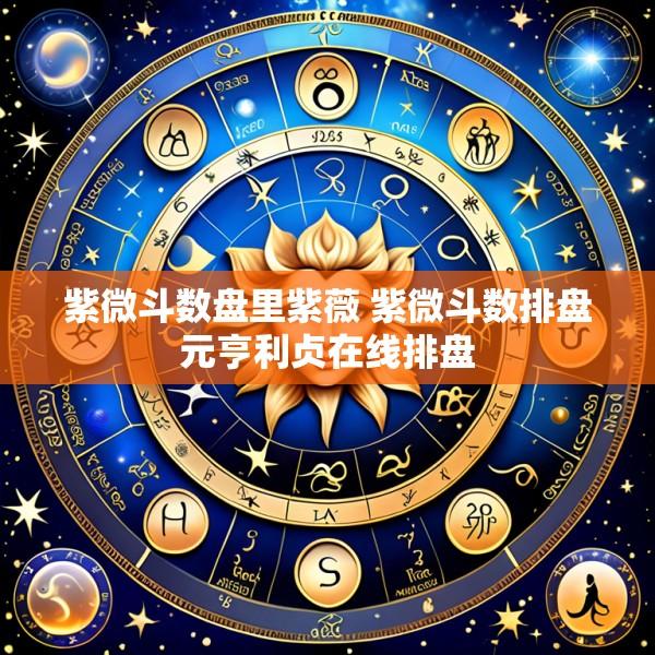 紫微斗数盘里紫薇 紫微斗数排盘元亨利贞在线排盘