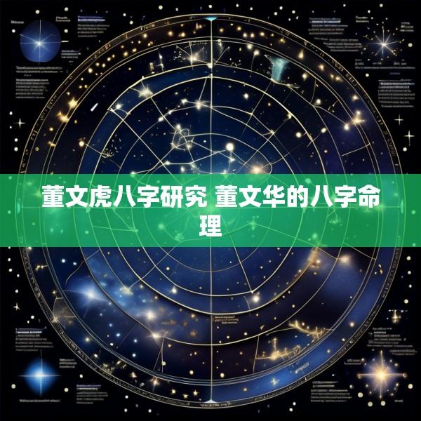 董文虎八字研究 董文华的八字命理