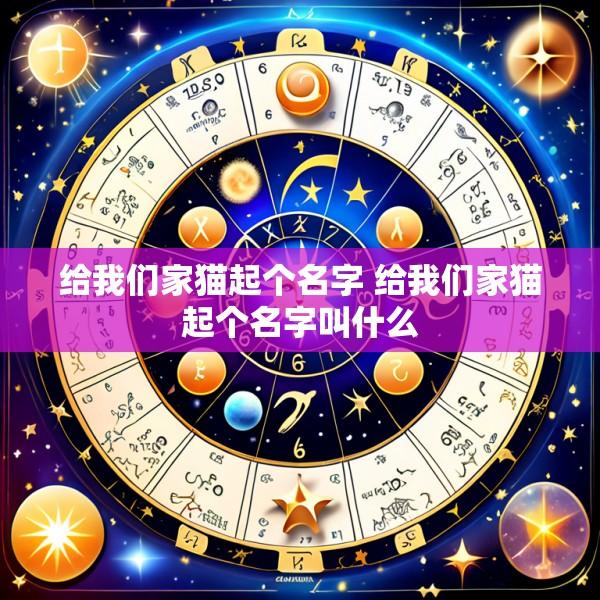 给我们家猫起个名字 给我们家猫起个名字叫什么