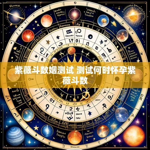 紫薇斗数姻测试 测试何时怀孕紫薇斗数