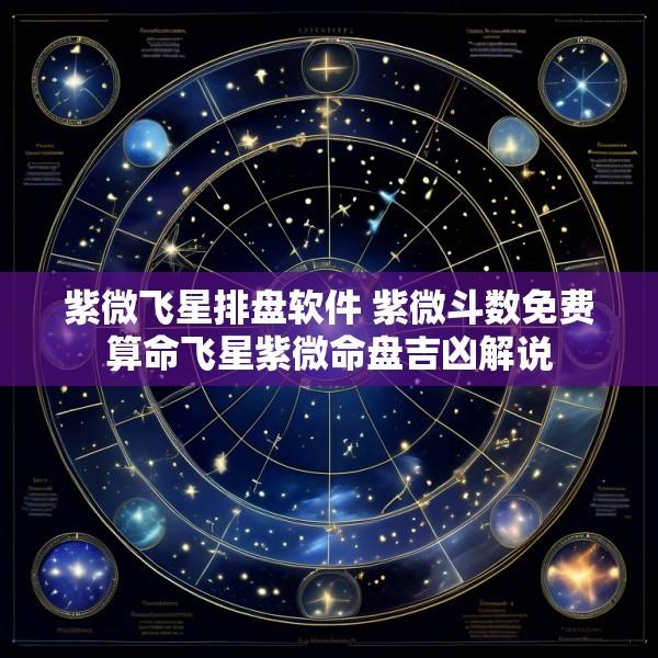 紫微飞星排盘软件 紫微斗数免费算命飞星紫微命盘吉凶解说