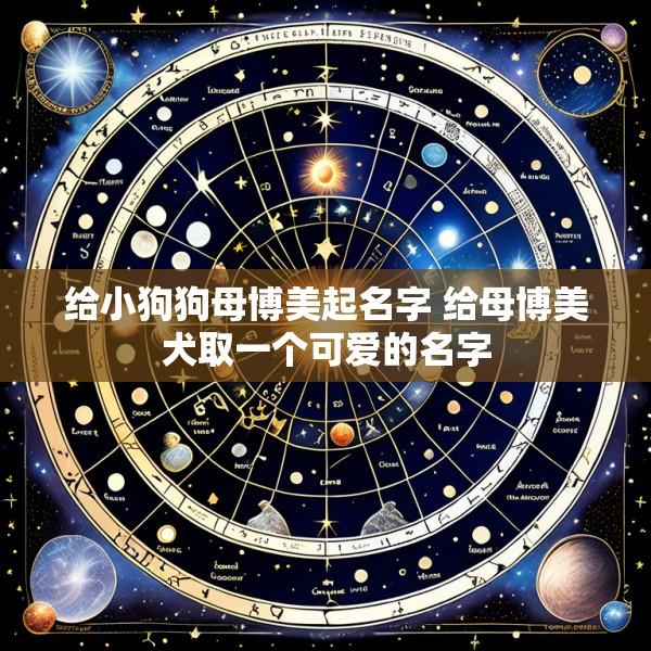 给小狗狗母博美起名字 给母博美犬取一个可爱的名字