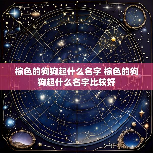 棕色的狗狗起什么名字 棕色的狗狗起什么名字比较好