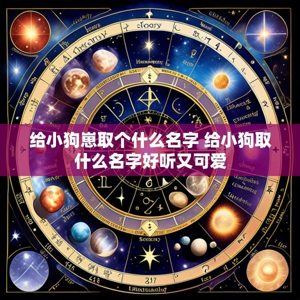 给小狗崽取个什么名字 给小狗取什么名字好听又可爱