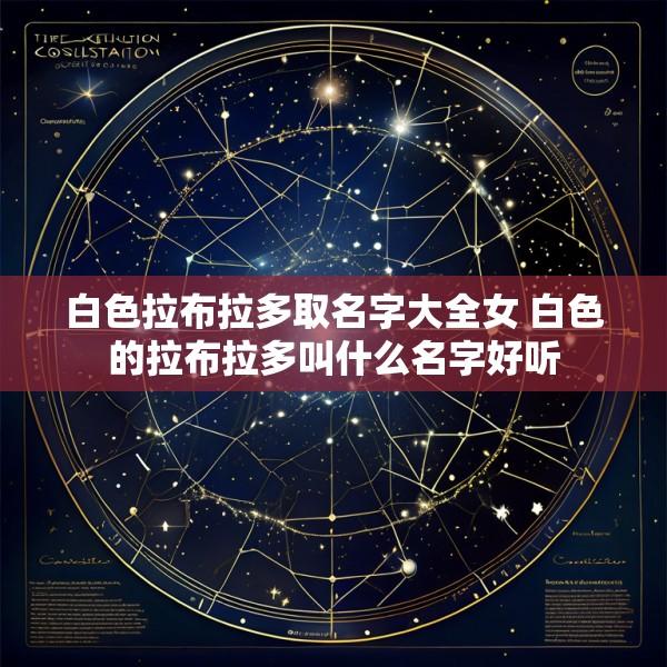 白色拉布拉多取名字大全女 白色的拉布拉多叫什么名字好听