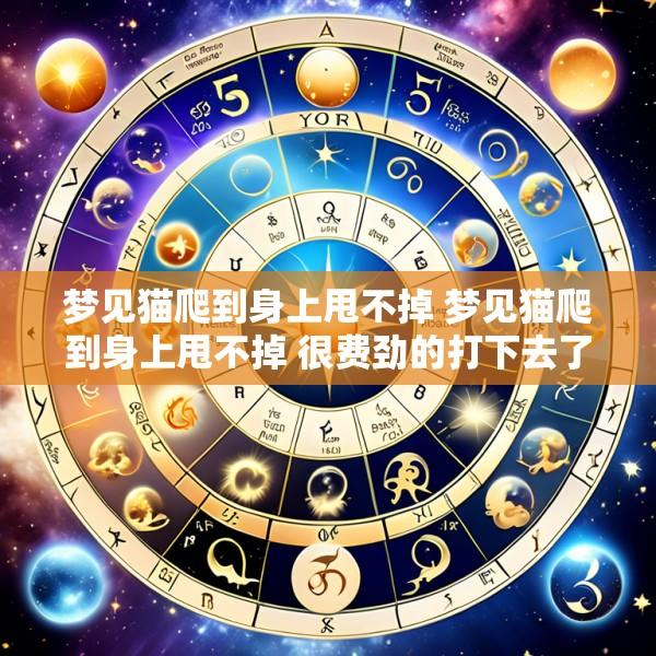 梦见猫爬到身上甩不掉 梦见猫爬到身上甩不掉 很费劲的打下去了什么意思