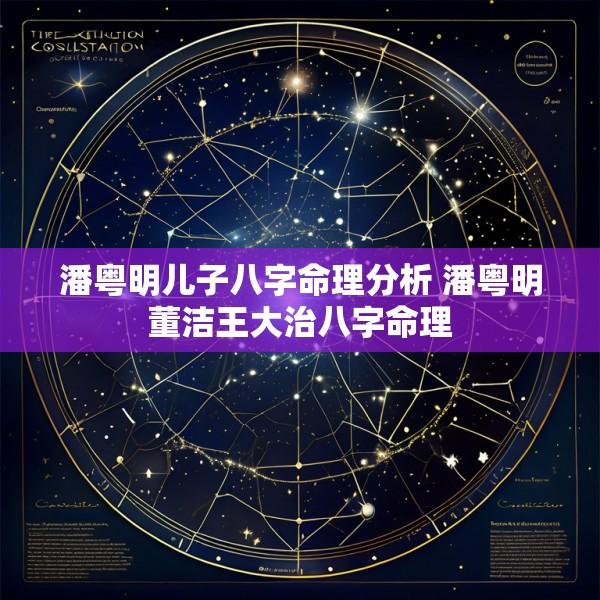 潘粤明儿子八字命理分析 潘粤明董洁王大治八字命理