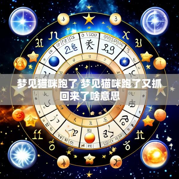 梦见猫咪跑了 梦见猫咪跑了又抓回来了啥意思