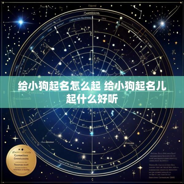 给小狗起名怎么起 给小狗起名儿起什么好听