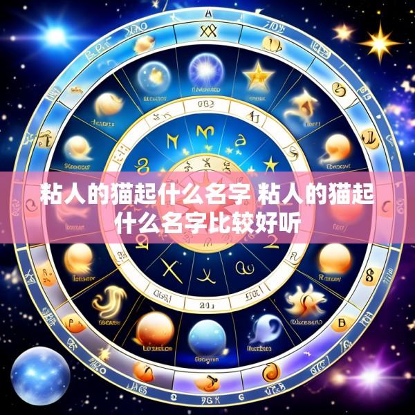 粘人的猫起什么名字 粘人的猫起什么名字比较好听
