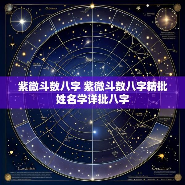 紫微斗数八字 紫微斗数八字精批姓名学详批八字