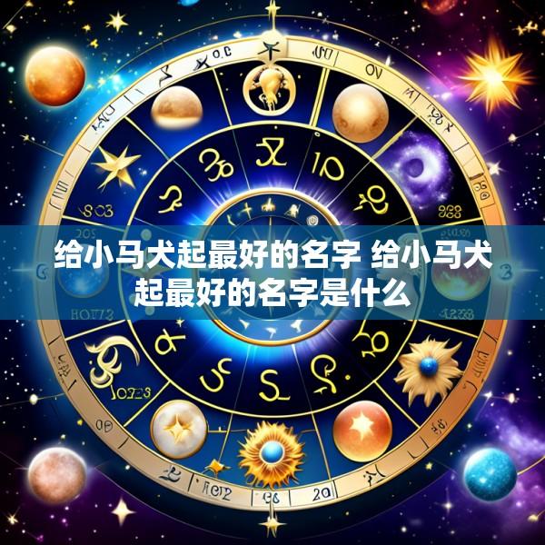 给小马犬起最好的名字 给小马犬起最好的名字是什么