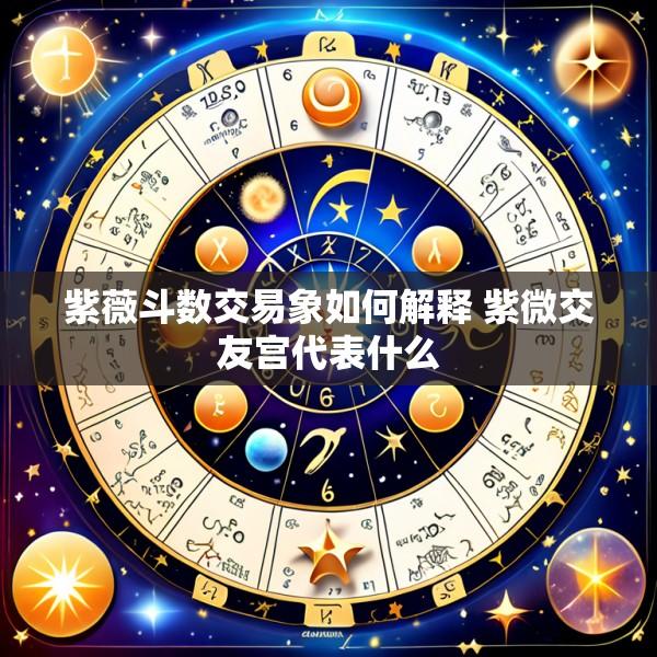 紫薇斗数交易象如何解释 紫微交友宫代表什么
