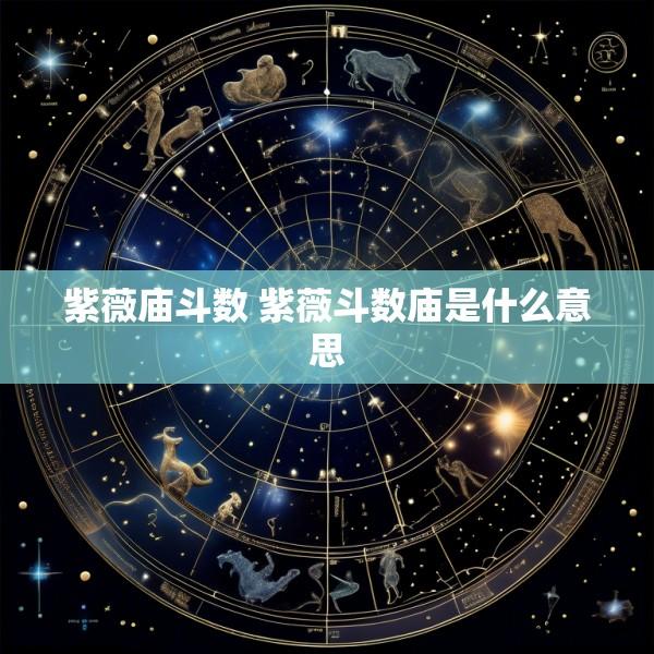 紫薇庙斗数 紫薇斗数庙是什么意思