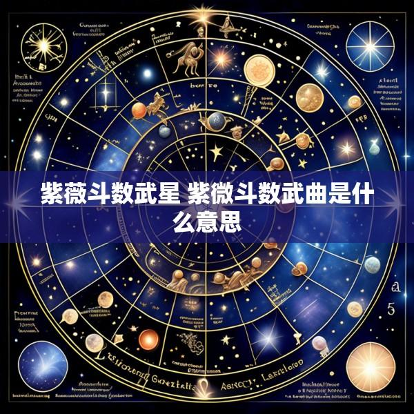 紫薇斗数武星 紫微斗数武曲是什么意思