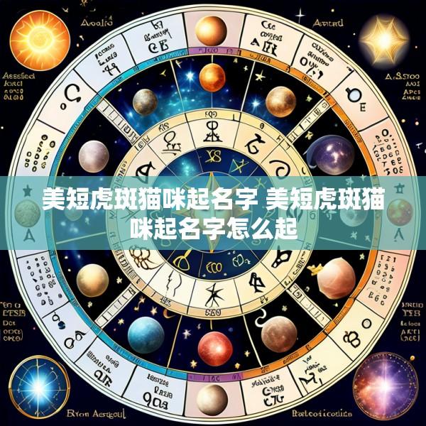 美短虎斑猫咪起名字 美短虎斑猫咪起名字怎么起