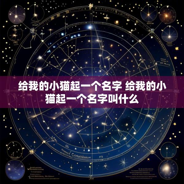 给我的小猫起一个名字 给我的小猫起一个名字叫什么