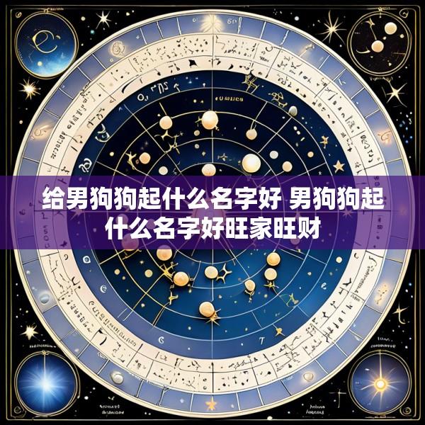给男狗狗起什么名字好 男狗狗起什么名字好旺家旺财
