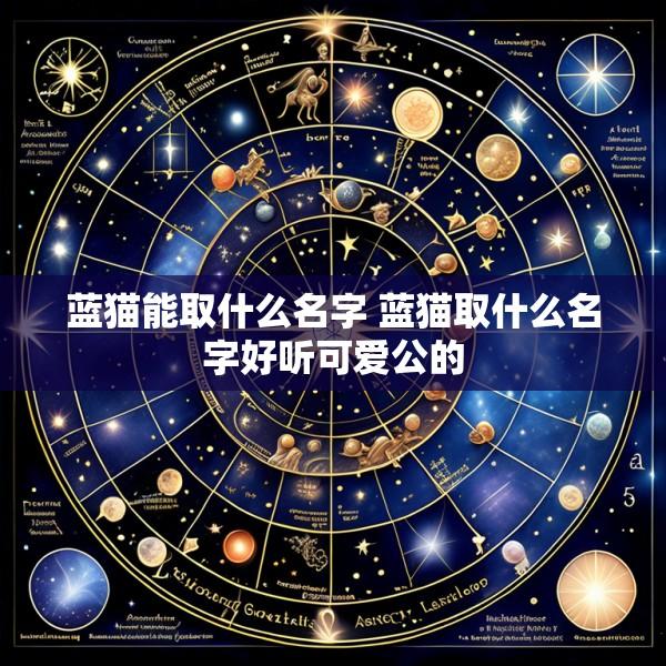 蓝猫能取什么名字 蓝猫取什么名字好听可爱公的
