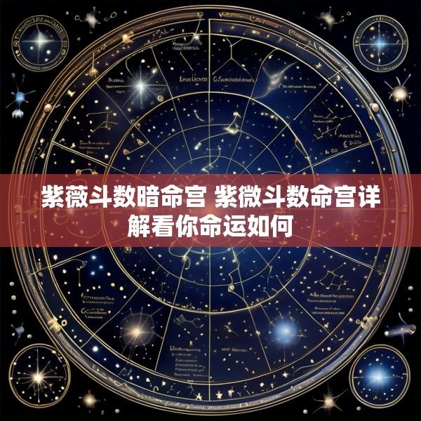 紫薇斗数暗命宫 紫微斗数命宫详解看你命运如何