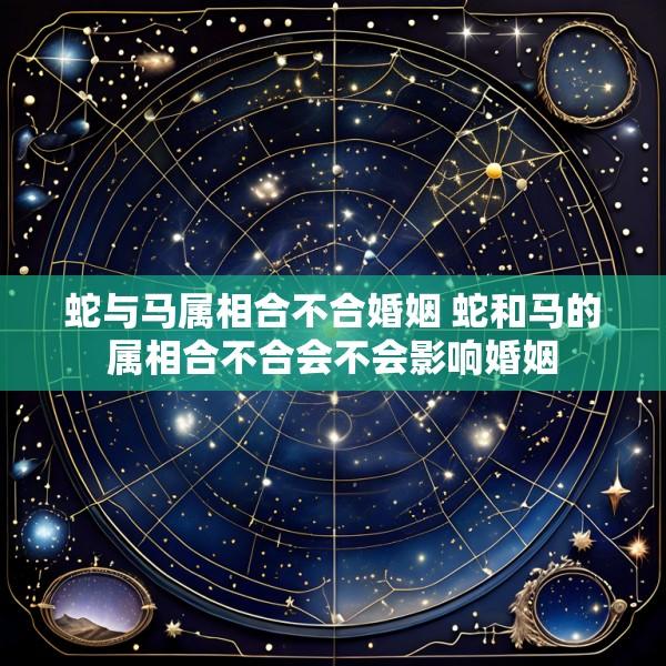 蛇与马属相合不合婚姻 蛇和马的属相合不合会不会影响婚姻