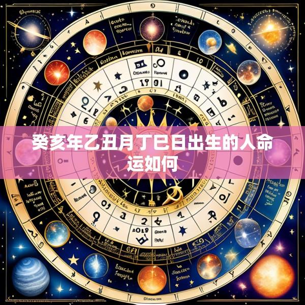 癸亥年乙丑月丁巳日出生的人命运如何
