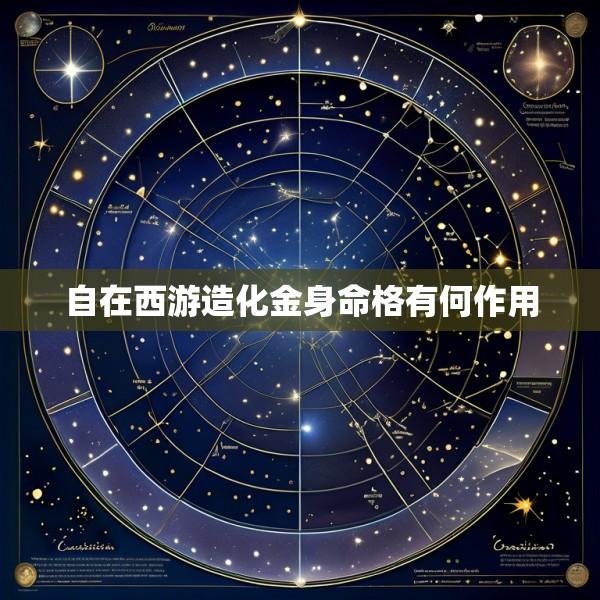 自在西游造化金身命格有何作用