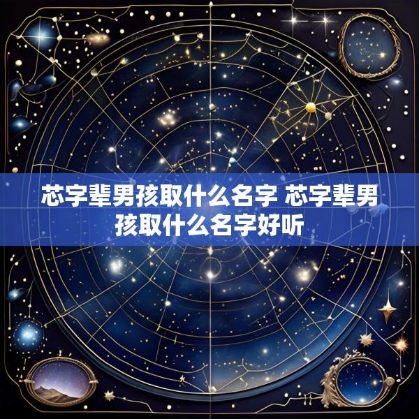 芯字辈男孩取什么名字 芯字辈男孩取什么名字好听