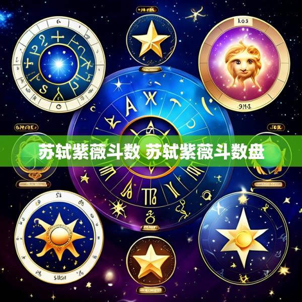 苏轼紫薇斗数 苏轼紫薇斗数盘