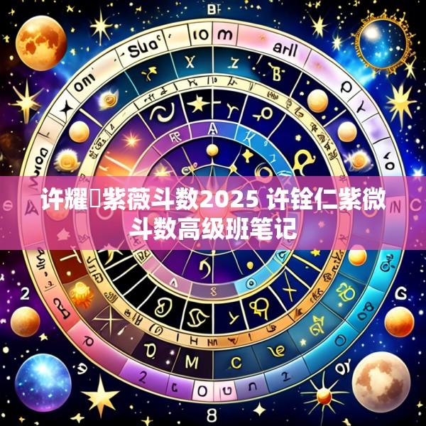 许耀焜紫薇斗数2025 许铨仁紫微斗数高级班笔记