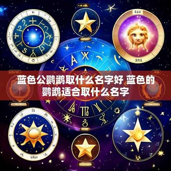 蓝色公鹦鹉取什么名字好 蓝色的鹦鹉适合取什么名字