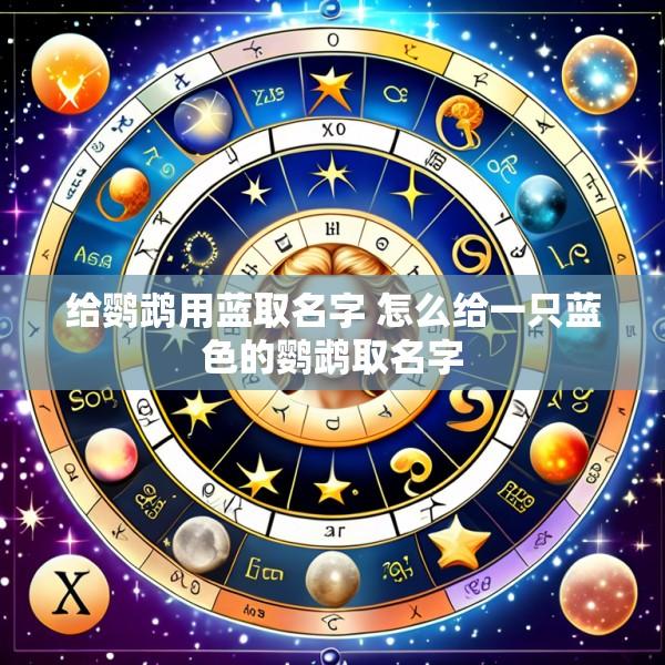 给鹦鹉用蓝取名字 怎么给一只蓝色的鹦鹉取名字