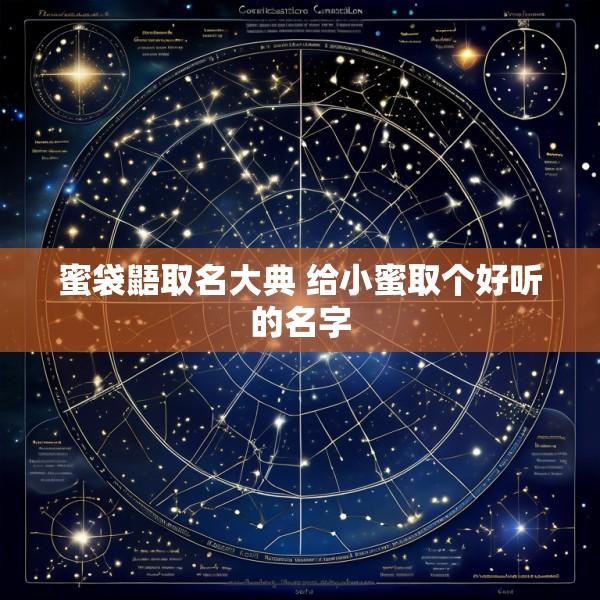 蜜袋鼯取名大典 给小蜜取个好听的名字